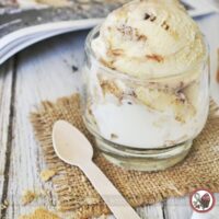 Quick & Easy S’mores Ice Cream